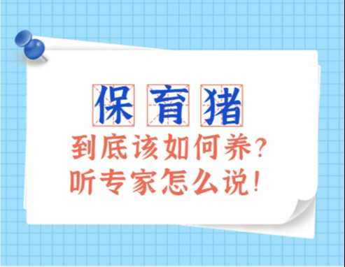好，用户让我写一篇关于猪宝宝取名字的文章，标题是给猪宝宝取名字有什么好方法，内容要不少于933个字。首先，我需要确定文章的结构，可能分为几个部分，比如传统名字、现代名字、寓意好的名字，以及推荐,希望,宝宝取名,寓意美好,第1张