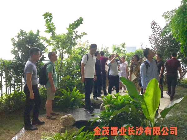 金茂家具城开业大吉，迈向新未来的起点,象征,希望,成功,第1张