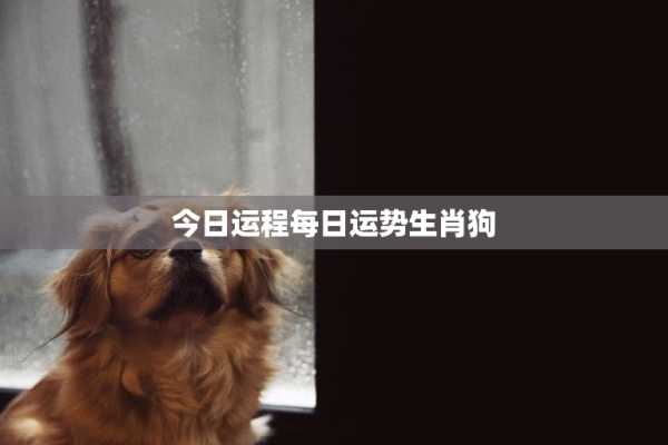 今日运势大吉，三大生肖运筹帷幄，ahead of the game！,事业,合作,成功,第1张