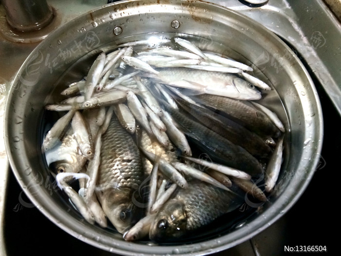 梦见一盆鲫鱼，解读梦境中的财富象征,象征,事业,希望,第1张