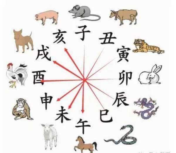 属相鼠运势,女性的神秘力量与幸福之源,象征,命运,事业,第1张 属相鼠运势,女性的神秘力量与幸福之源,象征,命运,事业,第1张