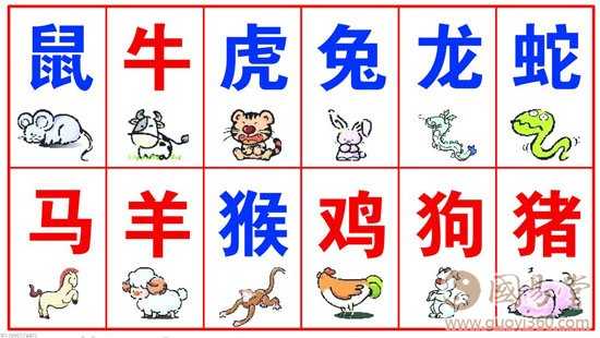 生肖丑牛一生运势，从命运转折到自我超越的智慧,象征,命运,挑战,第1张