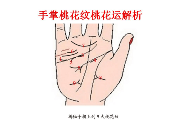 十二生肖桃花运势解析,命运与缘份的交,象征,命运,事业,第1张 十二生肖桃花运势解析,命运与缘份的交,象征,命运,事业,第1张