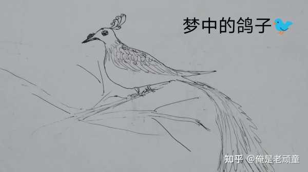 好,用户让我写一篇关于小鸽子满月吉时的文章,先写标题,再写内容,内容不少于951个字。首先,我需要理解小鸽子满月吉时这个关键词。这可能是指小鸽子出生后的满月礼,或者是一些传统文化中的习俗,象征,希望,吉时,第1张 好,用户让我写一篇关于小鸽子满月吉时的文章,先写标题,再写内容,内容不少于951个字。首先,我需要理解小鸽子满月吉时这个关键词。这可能是指小鸽子出生后的满月礼,或者是一些传统文化中的习俗,象征,希望,吉时,第1张