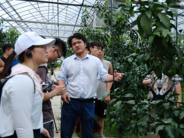 好,用户让我写一篇关于黄岩求签的文章,首先得确定标题。标题要吸引人,同时又能反映内容,所以黄岩求签,历史的回响与现代的思考听起来不错,命运,希望,求签,第1张 好,用户让我写一篇关于黄岩求签的文章,首先得确定标题。标题要吸引人,同时又能反映内容,所以黄岩求签,历史的回响与现代的思考听起来不错,命运,希望,求签,第1张