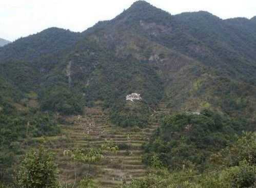 祖坟前盖什么好看,希望,气场,能量,第1张 祖坟前盖什么好看,希望,气场,能量,第1张