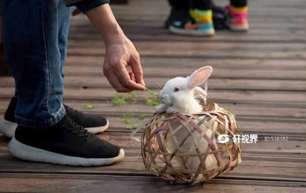 嗯,用户想要写一篇关于兔宝宝女孩起名缺土怎么取名的文章。首先,我得理解用户的需求。他们可能是一位家长,或者是在为某个孩子起名的人,希望名字不仅好听,还要符合五行学说中的土元素,以平衡孩子的运势,象征,命运,希望,第1张 嗯,用户想要写一篇关于兔宝宝女孩起名缺土怎么取名的文章。首先,我得理解用户的需求。他们可能是一位家长,或者是在为某个孩子起名的人,希望名字不仅好听,还要符合五行学说中的土元素,以平衡孩子的运势,象征,命运,希望,第1张