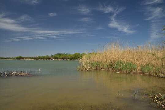 好，用户让我写一篇关于正定佛寺求签怎么求的文章，先写标题，再写内容，内容不少于976个字。首先，我需要明确用户的需求是什么。看起来用户可能对求签的方式和方法感兴趣，特别是正定的佛寺,希望,自我,求签,第1张