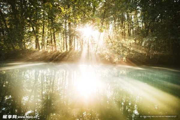 光东好，天地和谐的诗意表达,象征,希望,能量,第1张