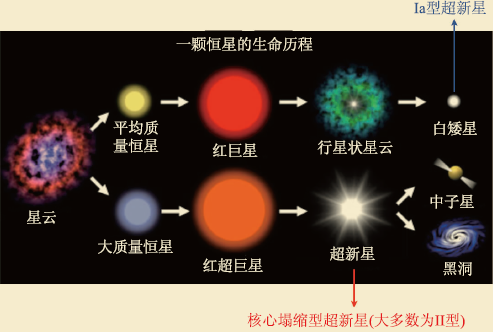 十二星座生物晶体，自然界的神秘之光,象征,十二星座,星座,第1张