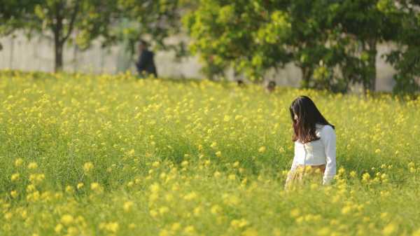 算命的花姑娘,象征,命运,挑战,第1张