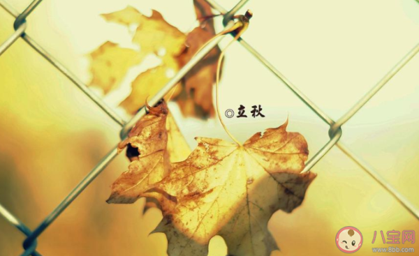 好,用户让我写一篇关于立秋牛宝宝怎么取名的文章,先写标题,再写内容,内容不少于800字。首先,我需要理解用户的需求。他们可能是一位家长,想给孩子取一个合适的名字,或者是一位写作者,想探讨取名的技巧,象征,命运,希望,第1张 好,用户让我写一篇关于立秋牛宝宝怎么取名的文章,先写标题,再写内容,内容不少于800字。首先,我需要理解用户的需求。他们可能是一位家长,想给孩子取一个合适的名字,或者是一位写作者,想探讨取名的技巧,象征,命运,希望,第1张