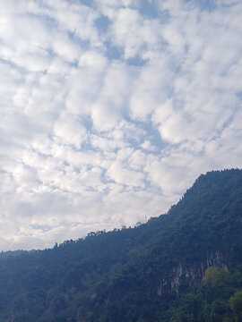 好，用户让我写一篇关于白云庙算命的师傅名字的文章，标题和内容都要写。首先，标题要吸引人，可能用白云庙算命师傅的秘密，姓氏与技艺的融合这样的标题，既点出了白云庙，又说明了主题,八字,算命,求签,第1张