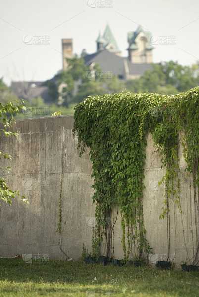 好,用户让我写一篇关于为什么爬藤不好的文章,先写标题,再写内容,内容不少于958个字。首先,我需要理解用户的需求。他们可能对爬藤这个布局不太了解,想了解其原因和影响,象征,事业,自我,第1张 好,用户让我写一篇关于为什么爬藤不好的文章,先写标题,再写内容,内容不少于958个字。首先,我需要理解用户的需求。他们可能对爬藤这个布局不太了解,想了解其原因和影响,象征,事业,自我,第1张