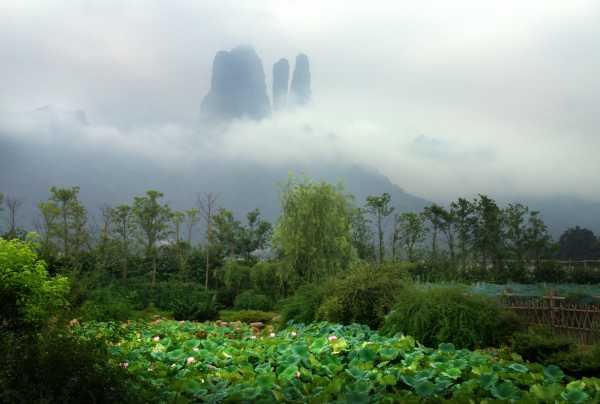 好，用户让我写一篇关于算命师傅叫什么的文章，先写标题，再写内容，内容不少于899个字。首先，我需要明确用户的需求。看起来用户可能对算命行业或特定地区的历史文化感兴趣，可能是在做研究或者写文章,命运,事业,八字,第1张