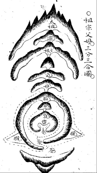 除了看还能看玄学,传统文化中的智慧之光,命运,事业,八字,第1张 除了看还能看玄学,传统文化中的智慧之光,命运,事业,八字,第1张