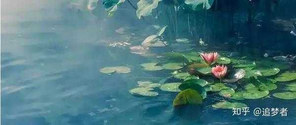 梦见摘瓜,一场关于成长与收获的隐喻,象征,挑战,自我,第1张 梦见摘瓜,一场关于成长与收获的隐喻,象征,挑战,自我,第1张