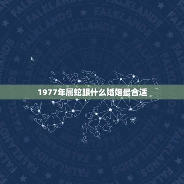 1978年生肖马运势，机遇与的平衡点,事业,挑战,星座,第1张