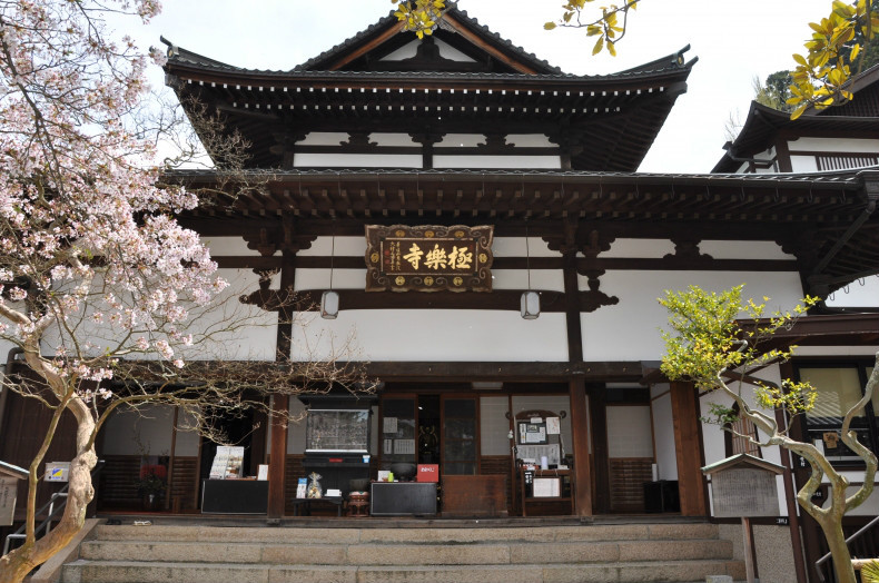 寺算命女师傅，一位传承的心灵导师,命运,希望,算命,第1张