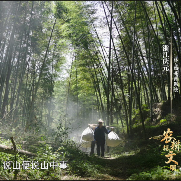 二十四天门开吉时，解读传统农耕文明的智慧,象征,吉时,解读,第1张