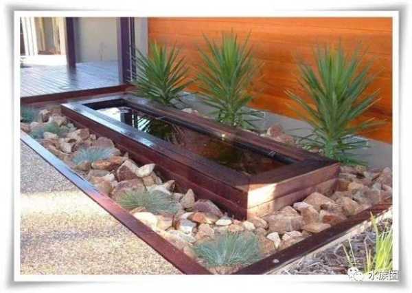 池养什么鱼好,象征,事业,希望,第1张