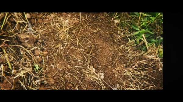 为什么算命不建议？,象征,命运,八字,第1张