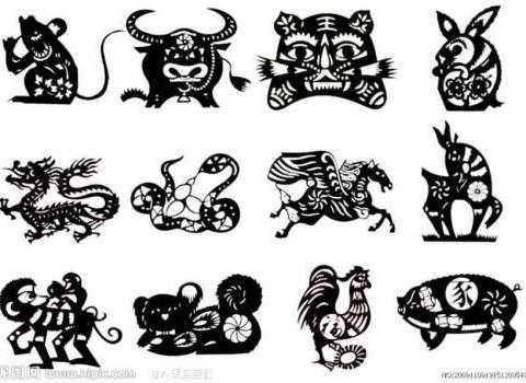 十二生肖鸡今日运势全解析,事业与健康 focus on your future and well-being,事业,挑战,合作,第1张 十二生肖鸡今日运势全解析,事业与健康 focus on your future and well-being,事业,挑战,合作,第1张