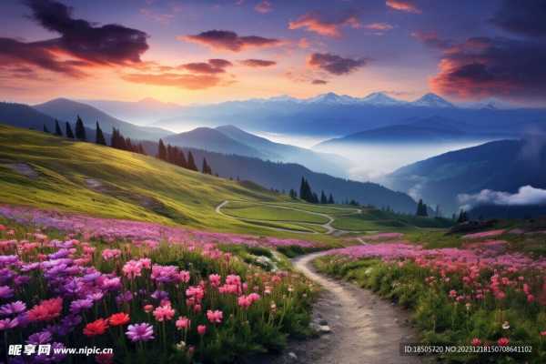 美丽女孩的命运之书,从占卜看美丽与命运的交,象征,命运,挑战,第1张 美丽女孩的命运之书,从占卜看美丽与命运的交,象征,命运,挑战,第1张