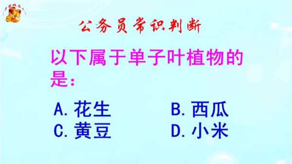 门前三甲,选择一个合适的植物,开启你的之门,象征,事业,希望,第1张 门前三甲,选择一个合适的植物,开启你的之门,象征,事业,希望,第1张