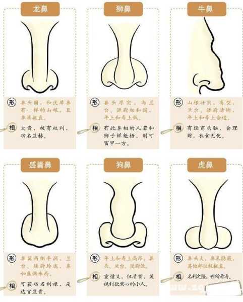 好,用户让我写一篇关于十二星座鼻子皮质的文章。首先,我需要明确每个星座的鼻子皮质特点。,我得考虑文章的结构,可能先介绍鼻子皮质的重要性,再逐一分析每个星座,最后总结一下,象征,命运,十二星座,第1张 好,用户让我写一篇关于十二星座鼻子皮质的文章。首先,我需要明确每个星座的鼻子皮质特点。,我得考虑文章的结构,可能先介绍鼻子皮质的重要性,再逐一分析每个星座,最后总结一下,象征,命运,十二星座,第1张