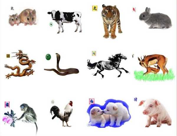 十二星座排序是什么意思,象征,命运,挑战,第1张 十二星座排序是什么意思,象征,命运,挑战,第1张