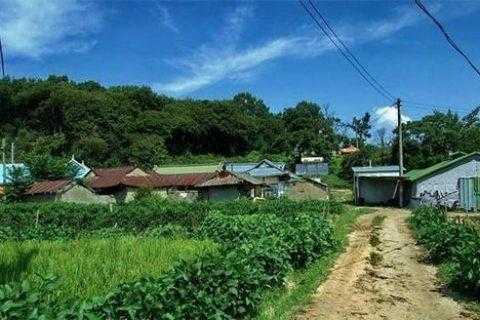 好,用户让我写一篇关于农村大门后放什么最好的文章。首先,我需要确定文章的标题,得吸引人又专业。,内容要详细,不少于960字,涵盖布局的各个方面,象征,事业,希望,第1张 好,用户让我写一篇关于农村大门后放什么最好的文章。首先,我需要确定文章的标题,得吸引人又专业。,内容要详细,不少于960字,涵盖布局的各个方面,象征,事业,希望,第1张