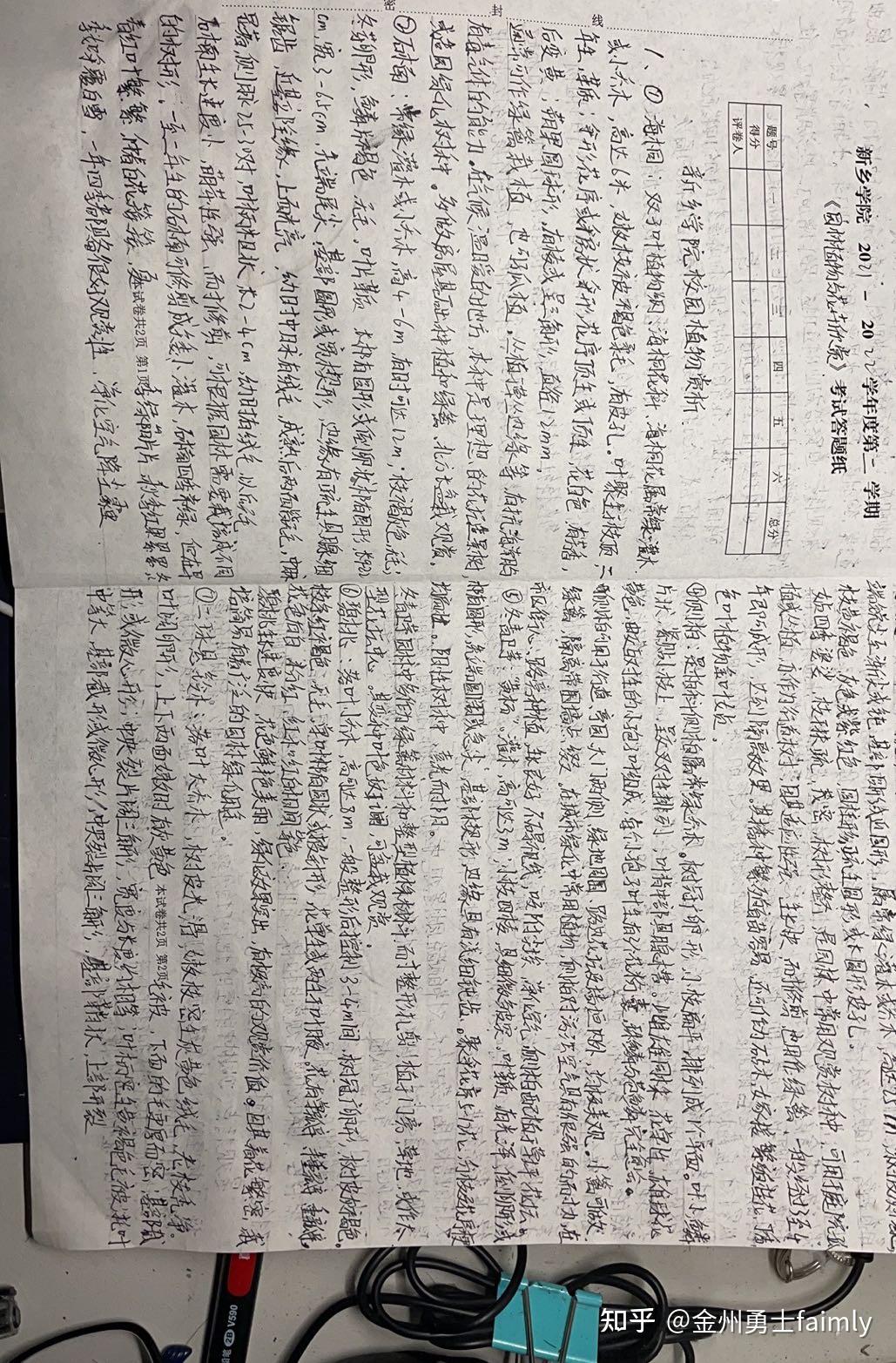 好，用户让我写一篇关于杏树的文章，标题和内容都要写。首先，我得确定标题，得吸引人，同时又能准确传达主题。杏树有，这听起来挺有意思的，可能和传统文化结合杏树的象征意义,象征,希望,气场,第1张