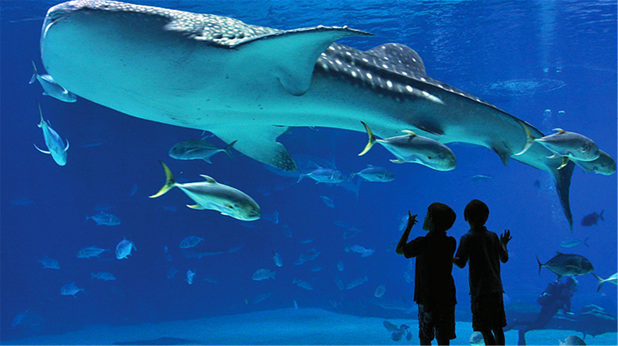 最大客厅挂什么画好,希望,气场,风水,第1张