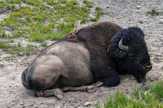 好,用户让我写一篇关于牛宝宝取名俊宇的文章,首先得确定标题。标题要吸引人,同时又能体现主题,比如牛宝宝取名俊宇,寓意与文化解析这样的标题不错,既点明了取名主题,又突出了文化内涵,象征,希望,宝宝取名,第1张 好,用户让我写一篇关于牛宝宝取名俊宇的文章,首先得确定标题。标题要吸引人,同时又能体现主题,比如牛宝宝取名俊宇,寓意与文化解析这样的标题不错,既点明了取名主题,又突出了文化内涵,象征,希望,宝宝取名,第1张