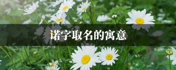 诺字取名兔宝宝,汉字智慧的结晶,象征,文化传承,耳朵,第1张 诺字取名兔宝宝,汉字智慧的结晶,象征,文化传承,耳朵,第1张