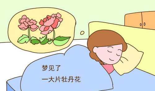 梦境中的胎儿算命，揭秘梦境中的预示与寓意,挑战,算命,健康状况,第1张