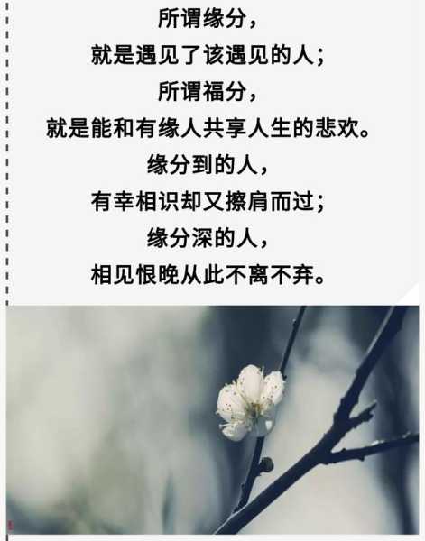 十二星座的正缘，命中注定的爱与守护,挑战,自我,十二星座,第1张