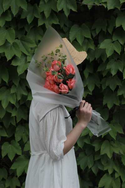 文艺宝宝，取名莫舒好吗怎么取,象征,命运,宝宝取名,第1张