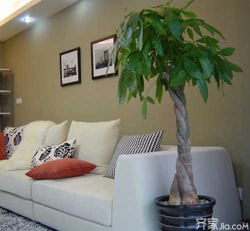 居家秘籍,揭秘哪些植物代表房子物,象征,事业,希望,第1张 居家秘籍,揭秘哪些植物代表房子物,象征,事业,希望,第1张