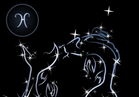 2004年1月12日是什么星座？,象征,挑战,希望,第1张