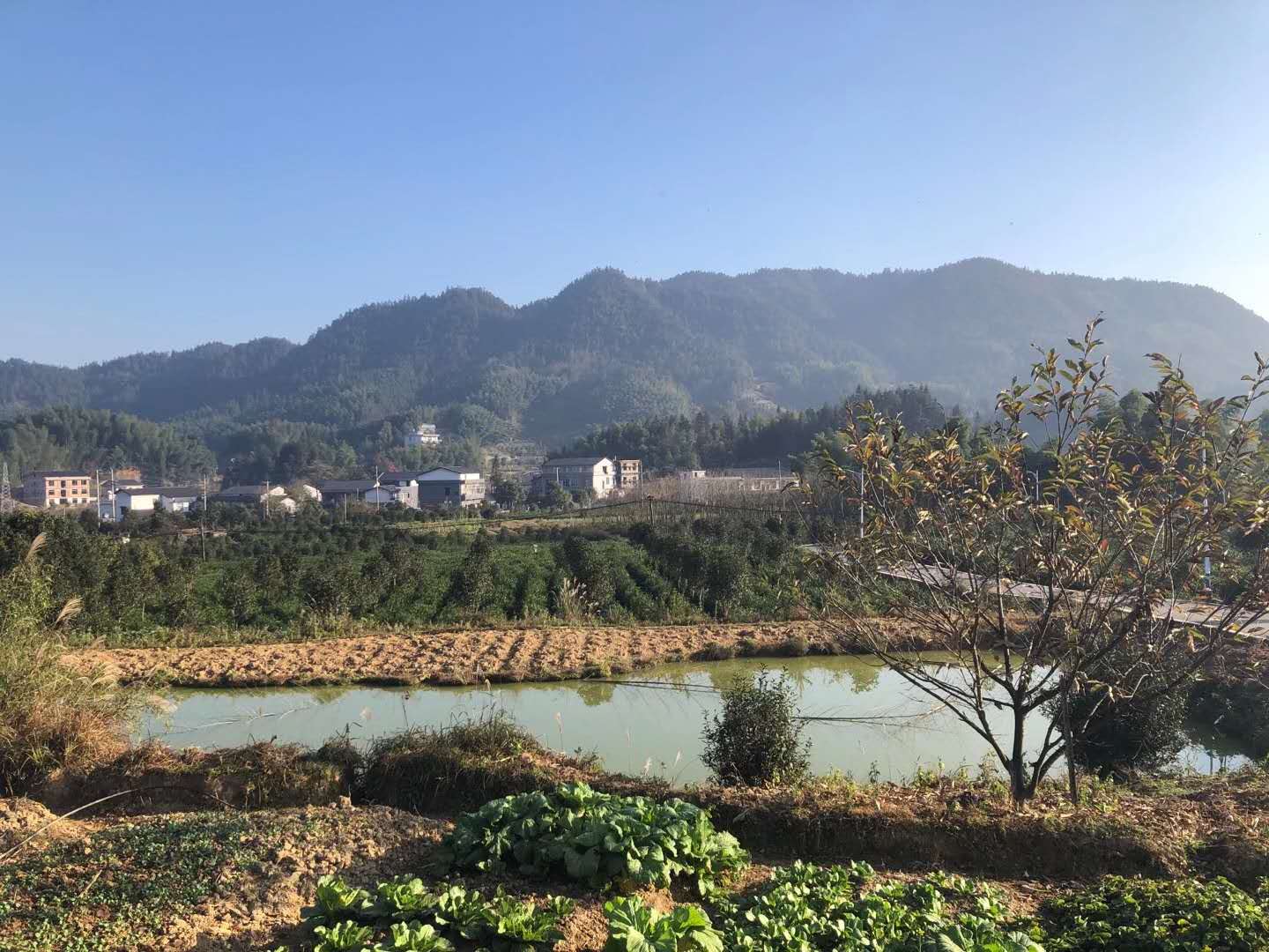 宁乡回龙山求签,命运的指引与人性的挣扎,象征,命运,求签,第1张 宁乡回龙山求签,命运的指引与人性的挣扎,象征,命运,求签,第1张