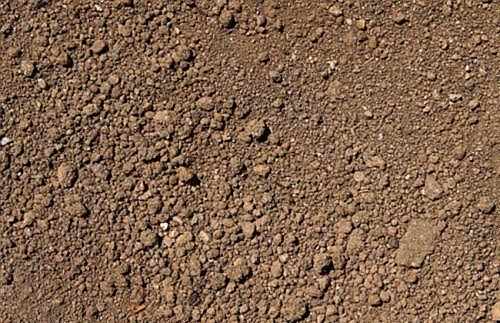 土年十二生肖运势解析,事业与健康的关键时刻,事业,合作,生肖运势,第1张 土年十二生肖运势解析,事业与健康的关键时刻,事业,合作,生肖运势,第1张