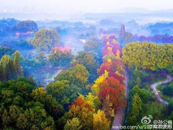 好，用户让我写一篇关于毗卢寺求签花钱文章，先写标题，再写内容，内容不少于826个字。首先，我需要明确文章的结构和重点。标题要吸引人，同时点明主题，比如毗卢寺求签，花钱与的交,象征,事业,求签,第1张