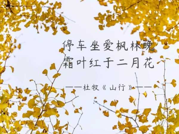 ,我需要解释为什么这一天是吉时,可能涉及传统习俗、学或者人们在这一天进行哪些活动。比如,这一天可能适合结婚、求子、开业等,因为鼠年被认为是的年份,命运,希望,吉时,第1张 ,我需要解释为什么这一天是吉时,可能涉及传统习俗、学或者人们在这一天进行哪些活动。比如,这一天可能适合结婚、求子、开业等,因为鼠年被认为是的年份,命运,希望,吉时,第1张