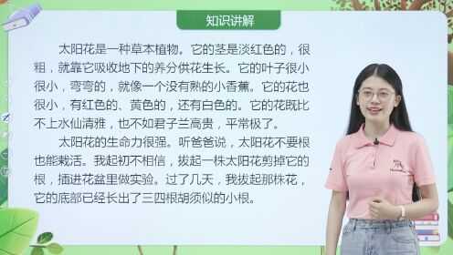 接下来是文章内容。首先，介绍8月13日是立秋，作为传统节气，对生肖猪女的运势有影响。，详细分析生肖猪女的性格特点，比如温和、善良、耐心，以及她们在事业和感情上的表现,象征,事业,挑战,第1张