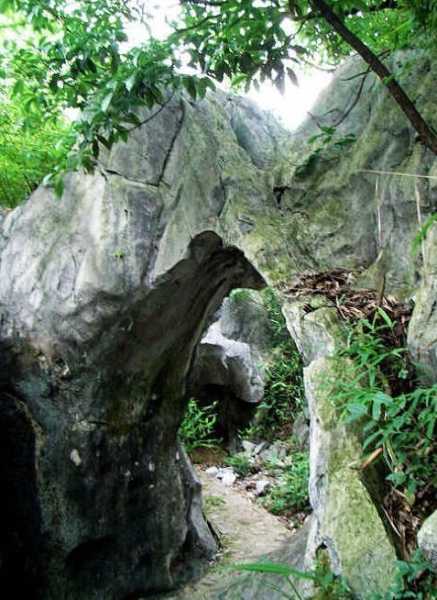 好，用户让我写一篇关于庙前种什么果树最好的文章。首先，我需要确定文章的标题，得吸引人又相关。，内容要详细，不少于802个字，涵盖学的基本知识和具体建议,象征,风水布局,风水,第1张