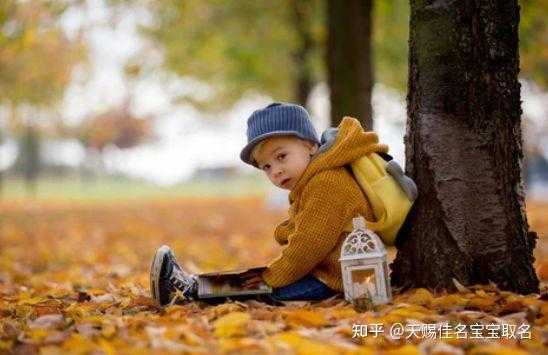 姓彭，宝宝如何取一个既有文化底蕴又好听的姓名？,希望,宝宝取名,能量,第1张