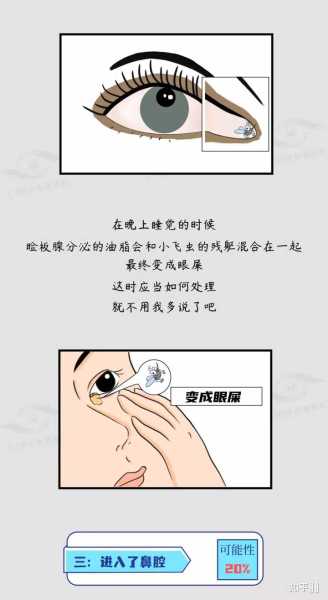 解梦,梦到眼睛长虫了,究竟预示着什么?,象征,挑战,自我,第1张 解梦,梦到眼睛长虫了,究竟预示着什么?,象征,挑战,自我,第1张