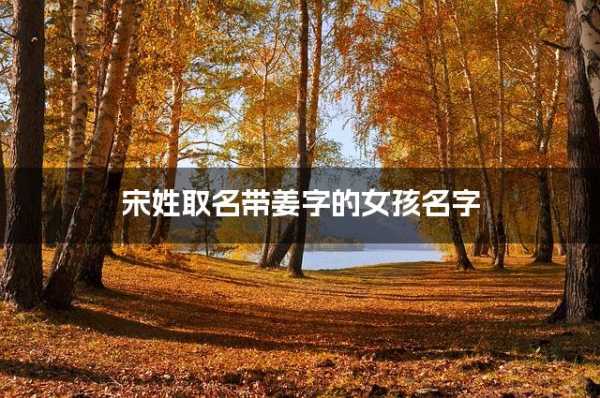 宋姓宝宝取名攻略,创意无限,好听又,挑战,希望,自我,第1张 宋姓宝宝取名攻略,创意无限,好听又,挑战,希望,自我,第1张